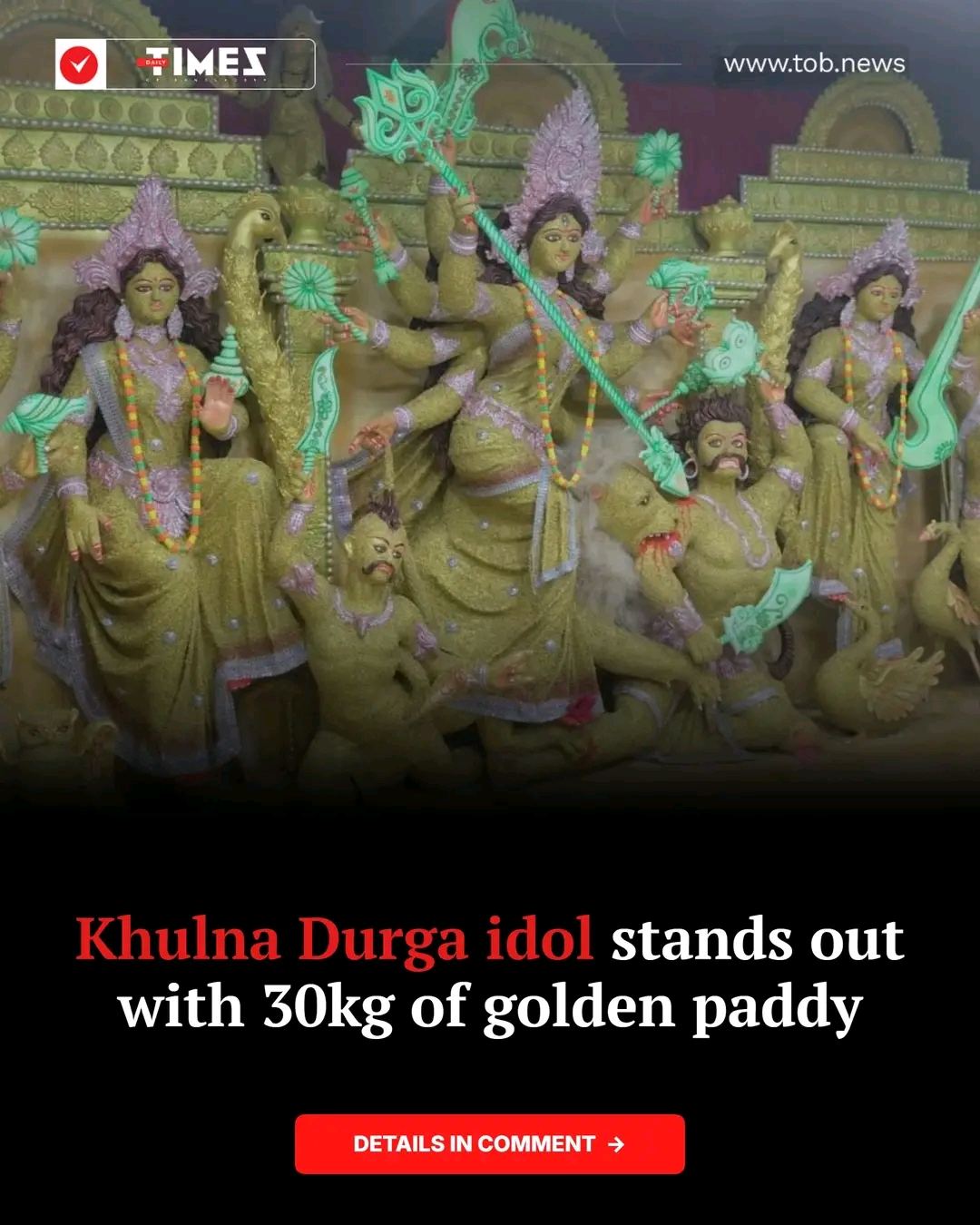 An idol of Goddess Durga decorated with 30kg of golden Chinigura paddy sheaves at the Bagmara Tetultala Sarbajanin Puja Mandir in Khulna city has drawn large crowds...
#durgapuja #Khulna #TimesofBangladesh #dailytimesofbangladesh